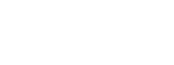Servi Express Global